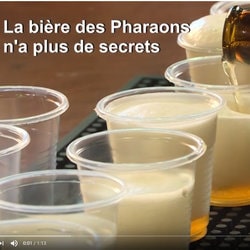 La levure de bière des Pharaons vieille de 3000 ans trouvée dans des jarres dans le Néguev