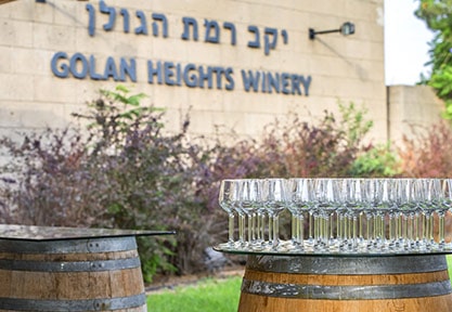 Route des Vins en Israël avec visites des vignobles et dégustations de vins