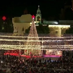 Célébration du sapin de Noël à Bethléem