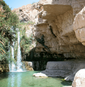 Cascades d'Ein Gedi en Israel