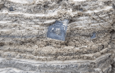 Cube de sel incrusté dans la boue de la mer Morte