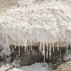 Du sel de la mer Morte recourant des rochers et formant des stalactites