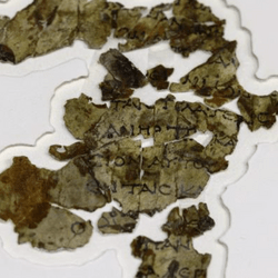 Un morceau de parchemin de la Bible découvert dans une grotte dans le désert de Judée en Israel